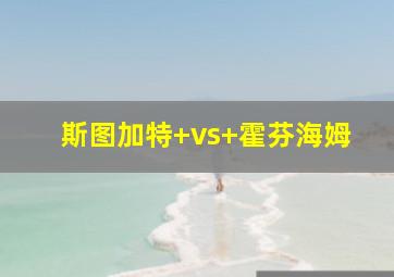斯图加特 vs 霍芬海姆